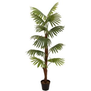 EUROPALMS Palmier éventail, plante artificielle, 155cm - Palmiers