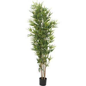 EUROPALMS Bambou deluxe, plante artificielle, 180cm - Arbres