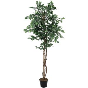 EUROPALMS Ficus Variegated, plante artificielle, 180cm - Arbres