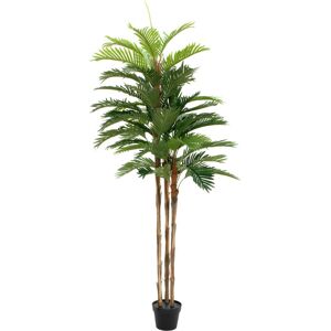 EUROPALMS Palmier Kentia, plante artificielle, 180cm - Palmiers