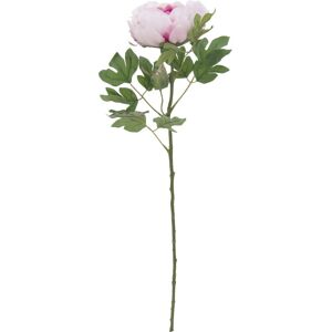 EUROPALMS Branche de pivoine classique, plante artificielle, rose, 80cm - Branches et buissons