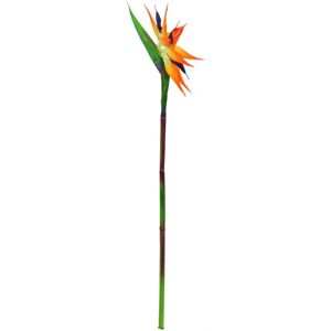 EUROPALMS Oiseau de paradis en spray, plante artificielle, orange, 95cm - Fleurs