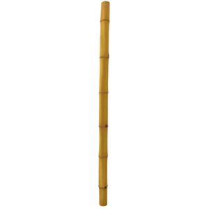 EUROPALMS Tube en bambou, Ø=8cm, 200cm - Branches et buissons
