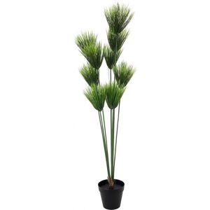 EUROPALMS Plante papyrus, artificielle, 150cm - Fleurs