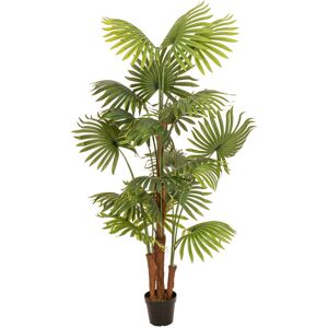 EUROPALMS Palmier éventail, plante artificielle, 165cm - Palmiers