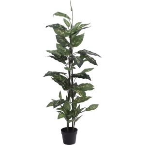 Europalms EUROPALMES Dieffenbachia, artificiel, 120cm - Fleurs