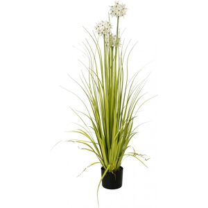 EUROPALMS Allium grass, plante artificielle, blanc, 120 cm - Herbes