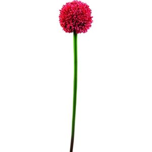 EUROPALMS Allium spray, artificiel, rouge, 55cm - Branches et buissons