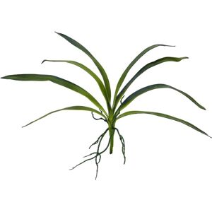 EUROPALMS Feuille d'orchidée (EVA), arificielle, verte, 45cm - Branches et buissons