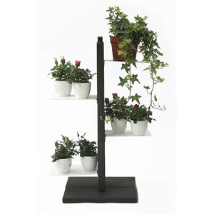 LE ZIE DI MILANO porte-plantes ZIA FLORA (H 66 cm / Noir - Hêtre massif et acier)