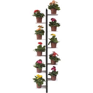 LE ZIE DI MILANO porte-plantes sur pied fixe au mur ZIA FLORA (H 156 cm / Noir - Hetre massif et acier)