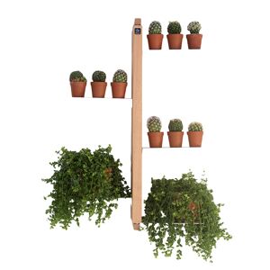 LE ZIE DI MILANO porte-plantes fixe au mur ZIA FLORA (H 66 cm / Naturel - Hetre massif et acier)