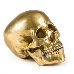 DIESEL LIVING WITH SELETTI crâne humain WUNDERKAMMER HUMAN SKULL Culture Skulture (Or - Aluminium) - Publicité