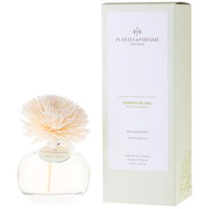 Plantes et Parfums - Banbou Blanc Fleur Parfumee 100 ml