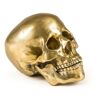 DIESEL LIVING WITH SELETTI crâne humain WUNDERKAMMER HUMAN SKULL Culture Skulture (Or - Aluminium)