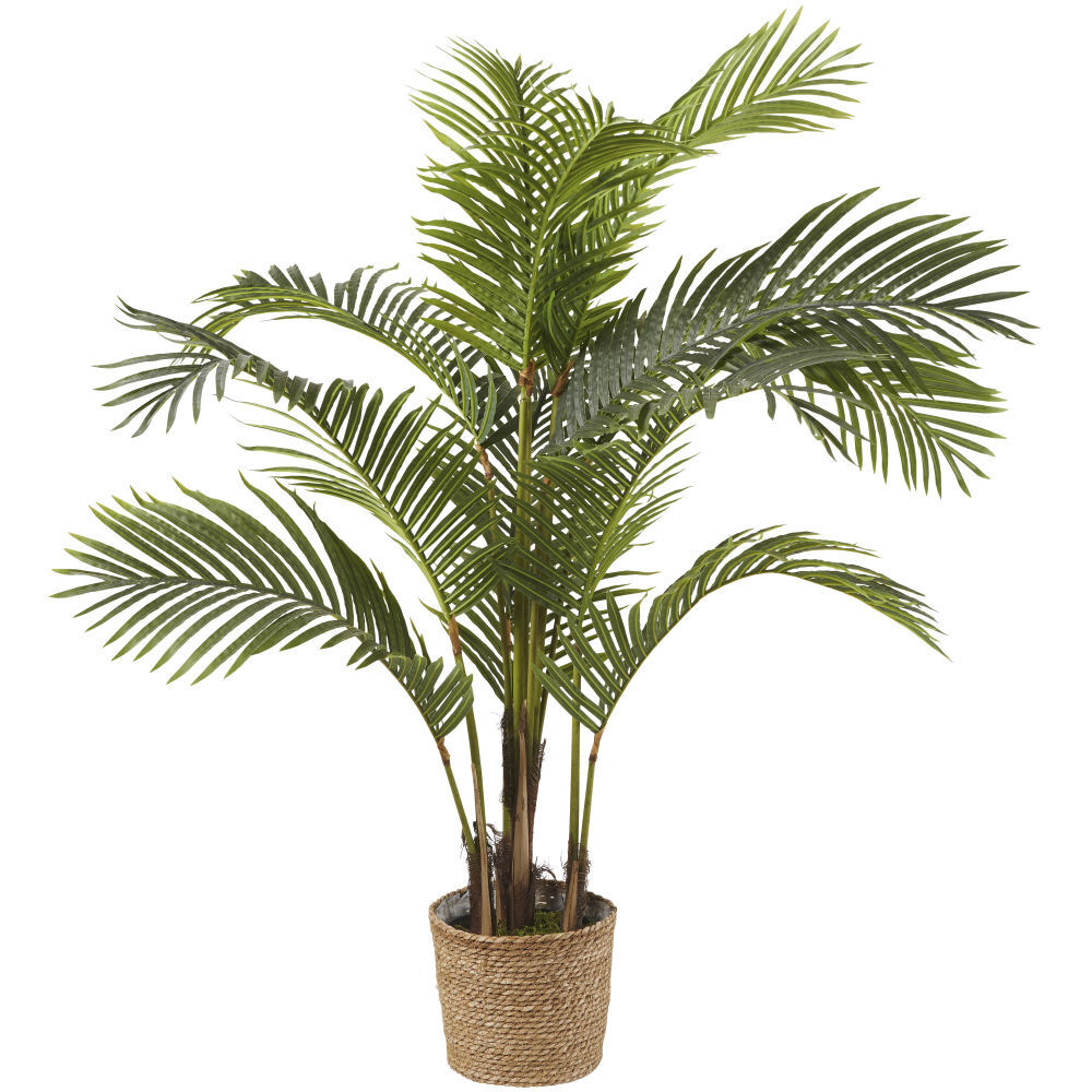 Maisons du Monde Areca artificiel en pot