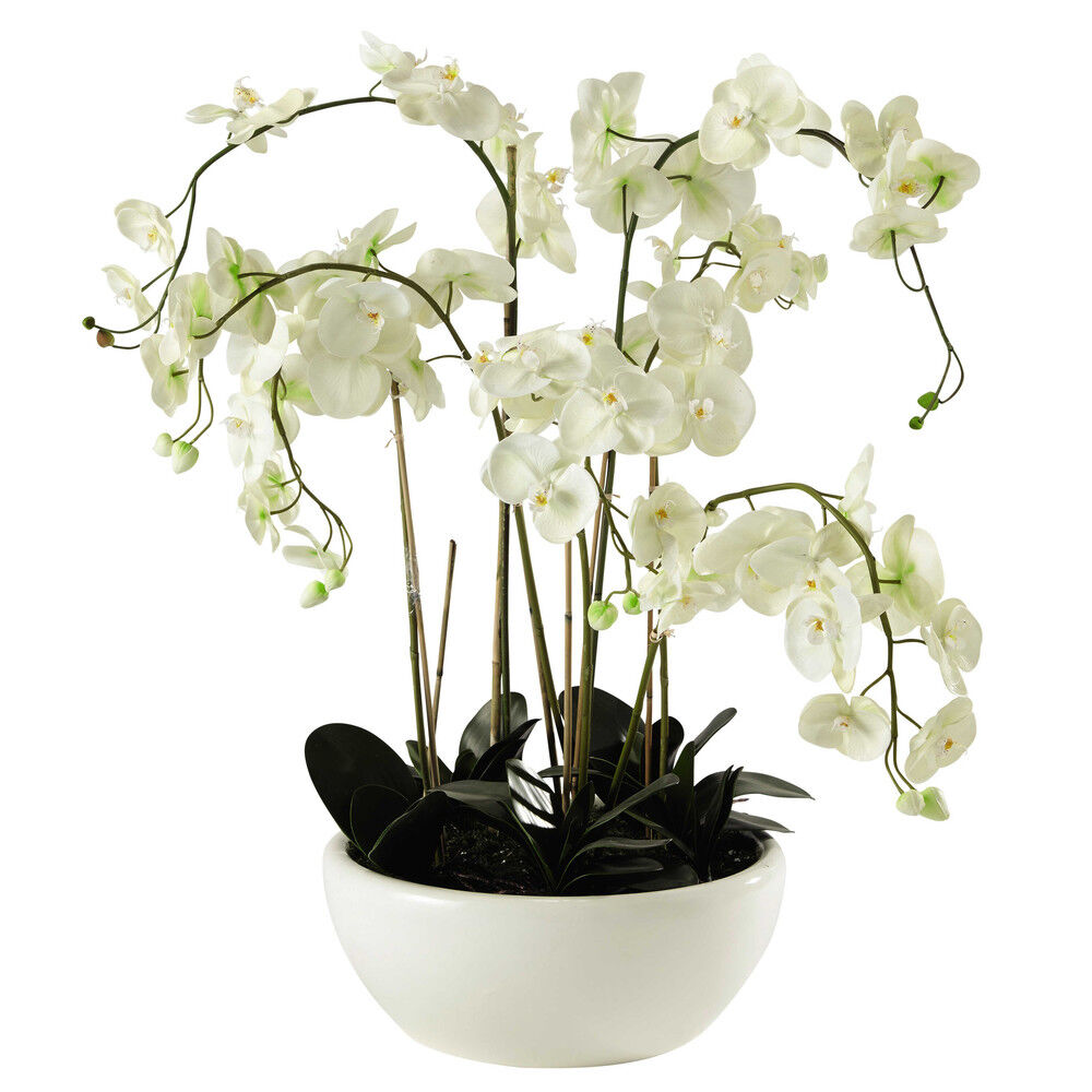 Maisons du Monde Orchidée artificielle en pot H 98 cm FLORA