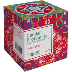 EFAS Colors Candela Profumata Forest Sour, 120g