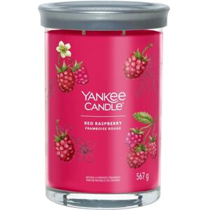 Yankee Candle Red Raspberry - Candela Profumata Tumbler Signature Grande, 567g