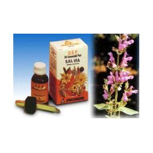 Salvia Foglie Oe Puro 10 ml