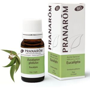 Pranarom Olio Essenziale Bio Eucalipto 10ml