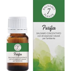 Linea Delle 7 Piante Purifica Balsamo Concentrato 15ml