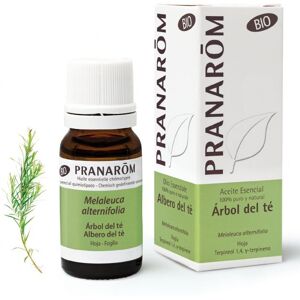 Pranarom Olio Essenziale Bio Albero Del Tè 10ml