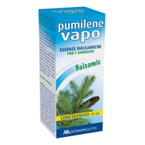 Montefarmaco Otc Spa Pumilene Balsamic Salute nellAria Essenze Balsamiche Vapo Concentrato 40 ml