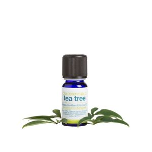 la saponaria Oli Essenziali Olio essenziale di Tea Tree
