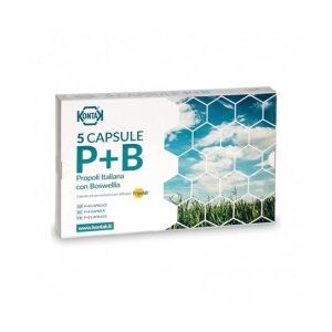 Kontak P+B Poprpoli Italiana con Boswellia - 5 ricariche per diffusori Propolair