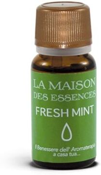 Mast Industria Italiana Srl Olio Essenziale Fresh Mint 12 Ml