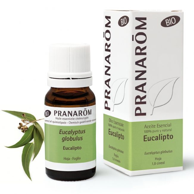 Pranarom Olio Essenziale Bio Eucalipto 10ml