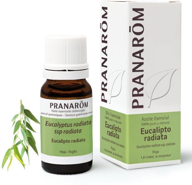 Pranarom Olio Essenziale Bio Eucalipto Radiata 10ml