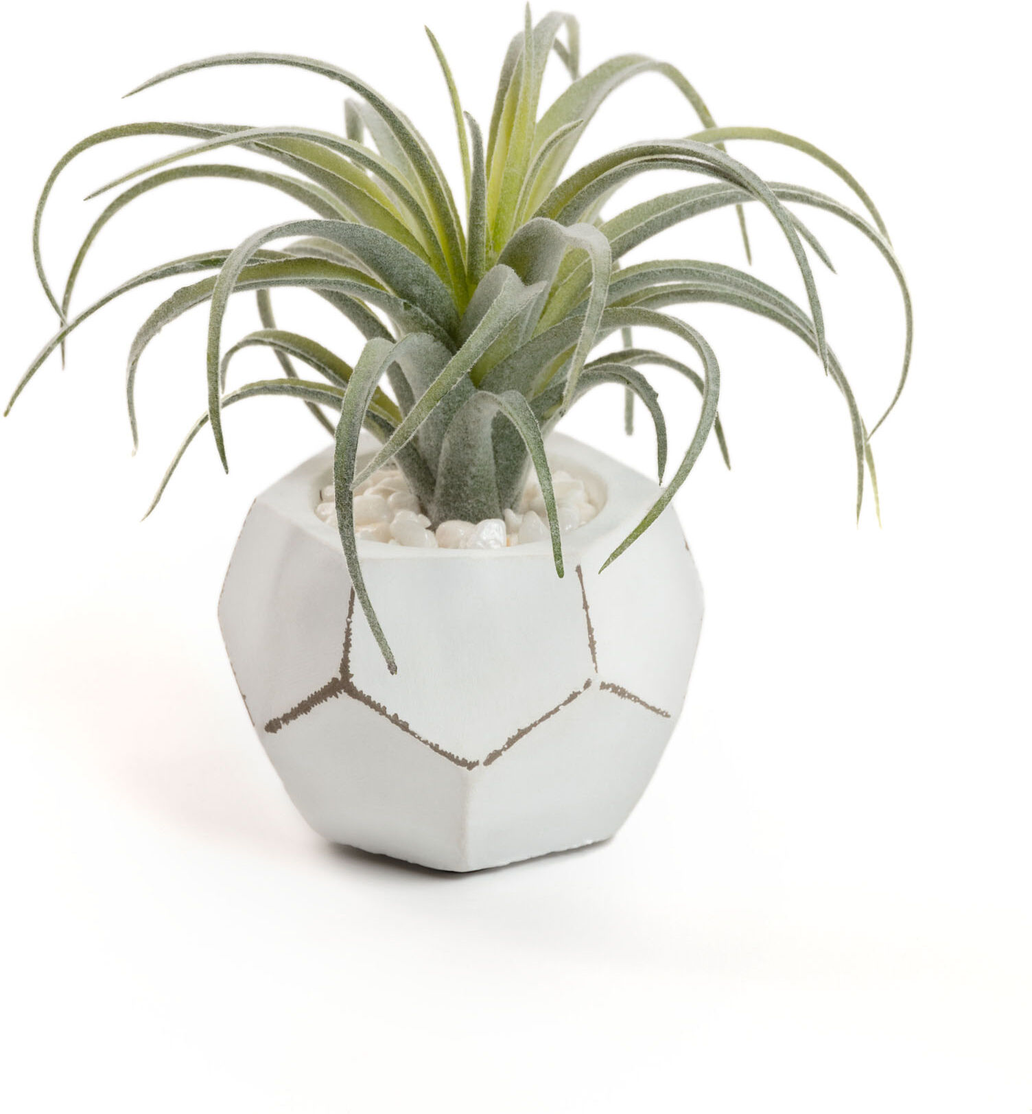 Kave Home Pianta artificiale Tillandsia