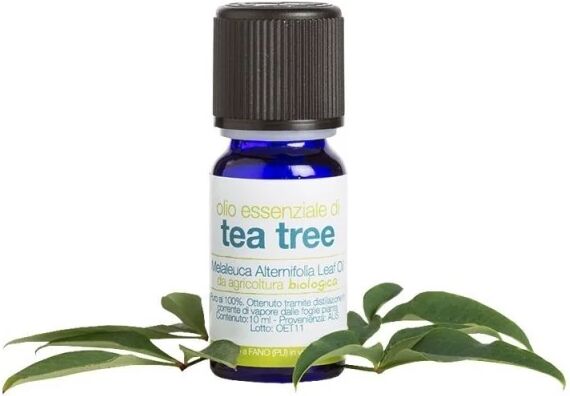 la saponaria Oli Essenziali Olio essenziale di Tea Tree