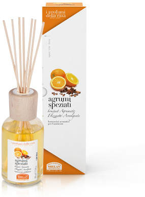 Helan I PROFUMI DELLA CASA - Bastoncini Aromatici - Agrumi Speziati 100 ml