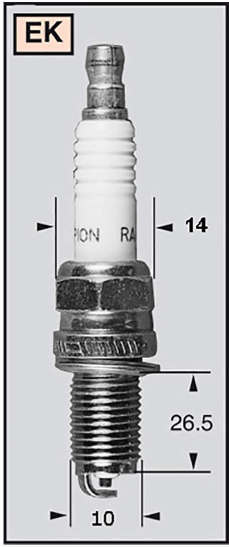 CHAMPION Candela REK6YC / OE8022