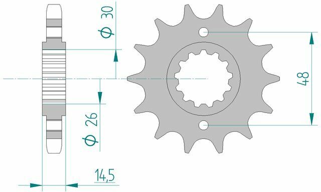 AFAM Pignone standard in acciaio 20602 - 530  80 mm