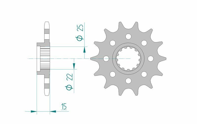 AFAM Pignone standard in acciaio 24509 - 520