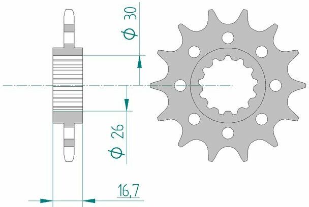 AFAM Pignone standard in acciaio 20613 - 520