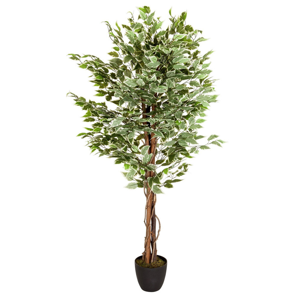 hjh OFFICE FICUS - Piante artificiali Verde