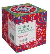 E.F.A.S. SpA Maioliche Candela Profumata Forest Sour 120 g