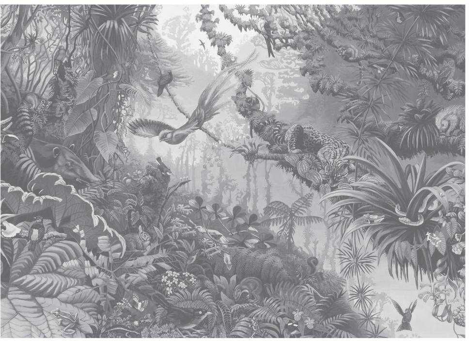 KEK Amsterdam Tropical landscapes behang zwart en wit 389.6x280