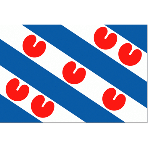 Vlaggenclub.nl Friese vlag 50x75cm