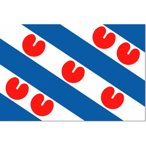 Vlaggenclub.nl Friese vlag 40x60cm