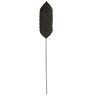 J-Line Blad Deco Palmboom - kunststof - zwart