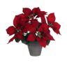 15999 Decoratieve plant Mica Decorations Rood PVC