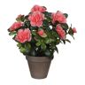 15999 Decoratieve plant Mica Decorations 11,5 x 27 x 20 cm