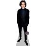 Celebrity Cutouts Timothee Chalamet Mini Knipsel