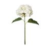 EUROCINSA Ref.62010C01 Hortensia, wit, doos met 6 stuks, 69 cm